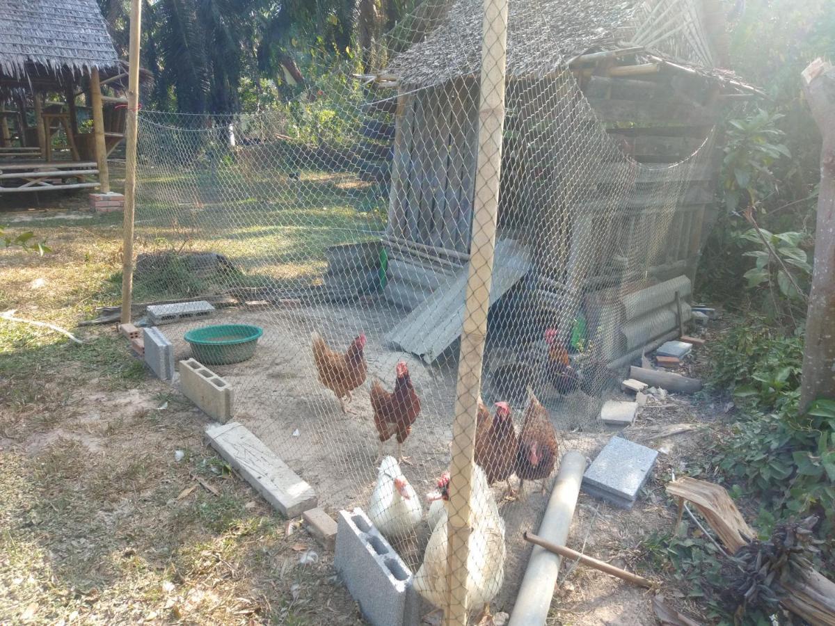 Meechok Organic Home Ao Nang Bagian luar foto