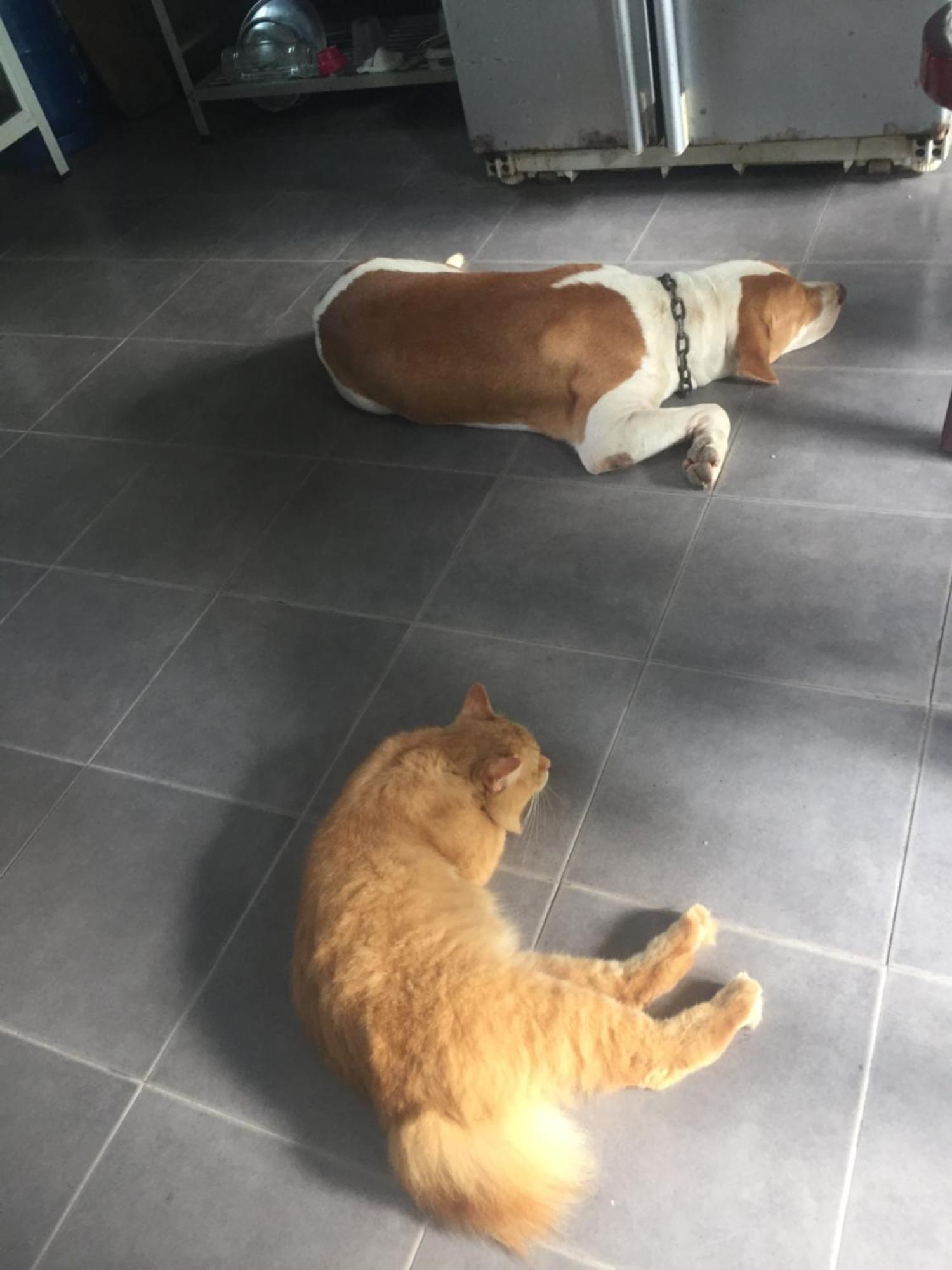Meechok Organic Home Ao Nang Bagian luar foto