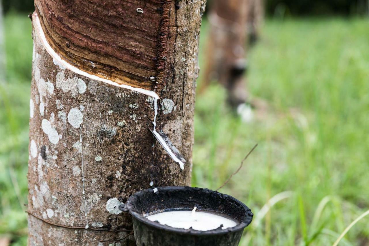 Meechok Organic Home Ao Nang Bagian luar foto