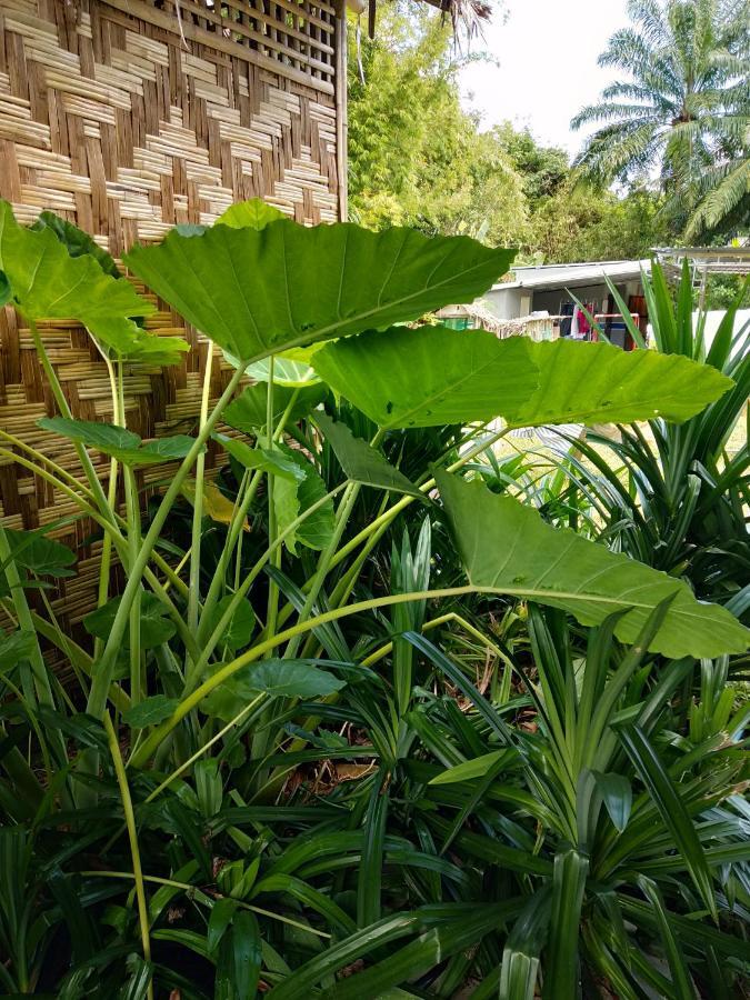 Meechok Organic Home Ao Nang Bagian luar foto